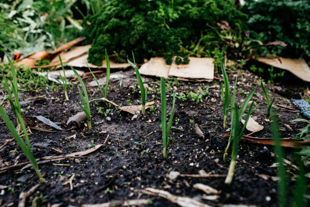 Margaret River Free Range Eggs